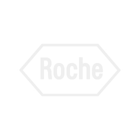 Kunde Roche Roche Logo in Hellgrau