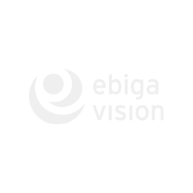 Kunde ebiga vision ebiga vision Logo in Hellgrau